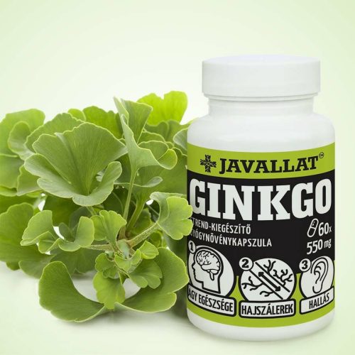 GINKO JAVALLAT