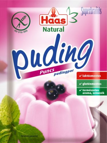 HAAS NATURAL PUNCS PUDINGPOR 40G