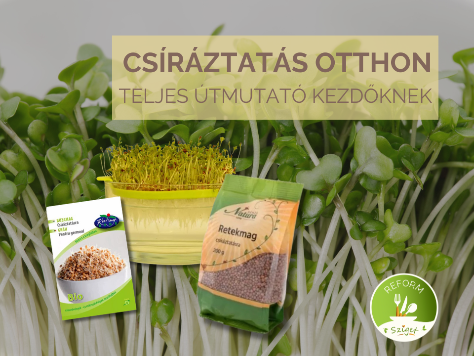 CSÍRÁZTATÁS OTTHON – TELJES ÚTMUTATÓ KEZDŐKNEK