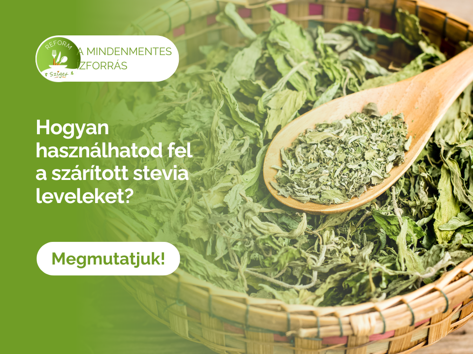 MUTATJUK HOGYAN HASZNÁLHATOD FEL A SZÁRÍTOTT STEVIA LEVELET